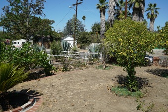 Enlarge photo 54