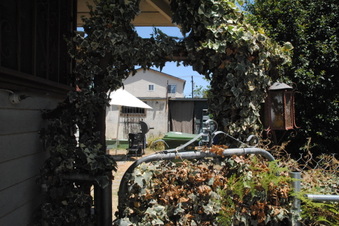 Enlarge photo 50