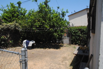Enlarge photo 61