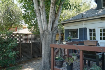 Enlarge photo 43