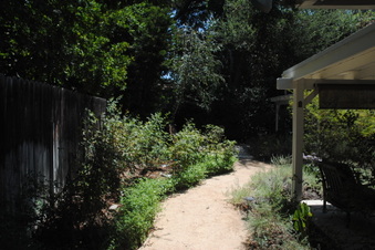 Enlarge photo 53