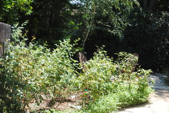 Enlarge photo 54