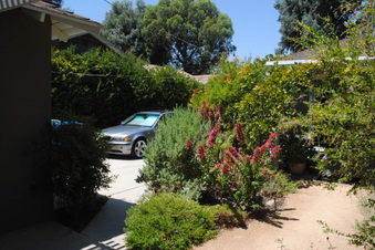 Enlarge photo 72