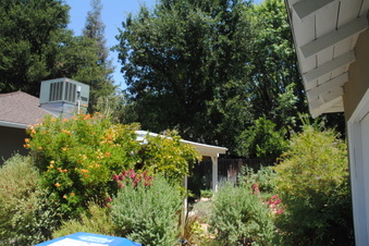 Enlarge photo 77