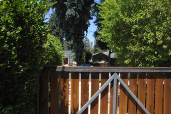 Enlarge photo 81