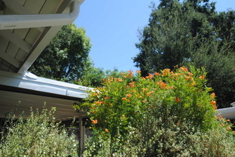 Enlarge photo 84