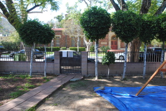 Enlarge photo 10
