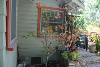 Enlarge photo 13