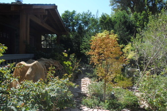 Enlarge photo 15