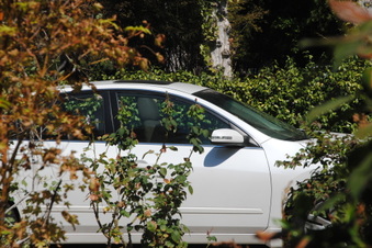 Enlarge photo 18