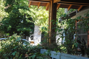 Enlarge photo 21