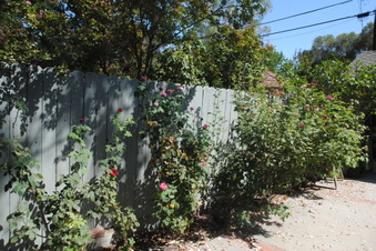 Enlarge photo 71