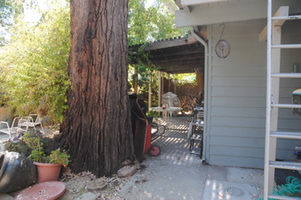 Enlarge photo 72