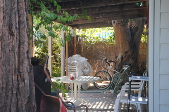 Enlarge photo 75