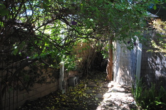 Enlarge photo 87