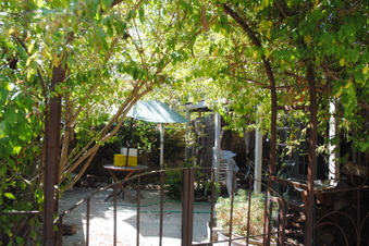 Enlarge photo 96