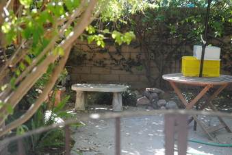 Enlarge photo 97