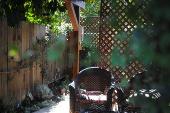 Enlarge photo 113