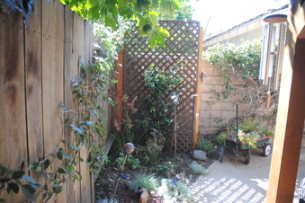 Enlarge photo 115