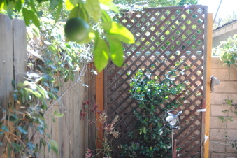 Enlarge photo 116