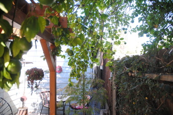 Enlarge photo 119