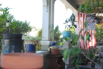 Enlarge photo 24