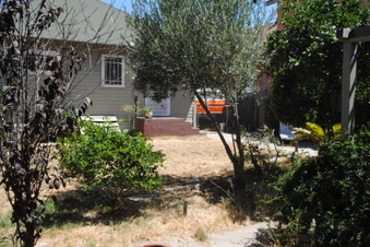 Enlarge photo 78
