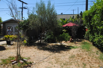 Enlarge photo 81