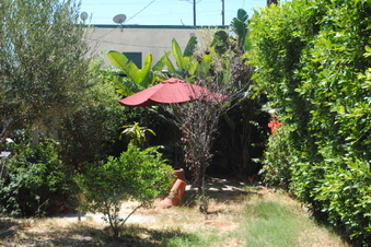 Enlarge photo 82