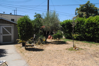 Enlarge photo 85