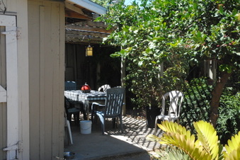 Enlarge photo 87