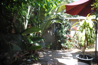 Enlarge photo 91