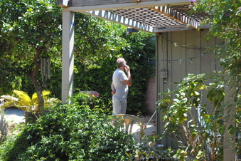 Enlarge photo 97