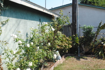 Enlarge photo 107
