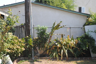 Enlarge photo 108