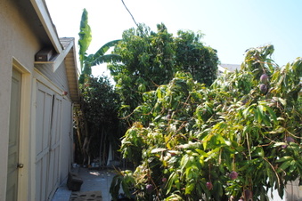 Enlarge photo 111
