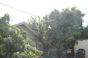 Enlarge photo 113
