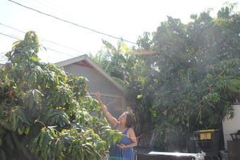 Enlarge photo 116
