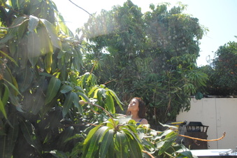 Enlarge photo 118
