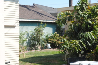 Enlarge photo 121