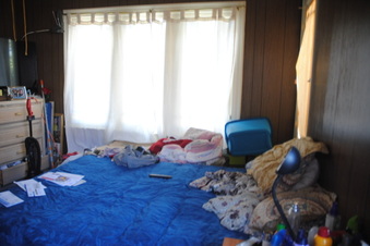 Enlarge photo 41