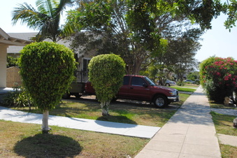 Enlarge photo 5