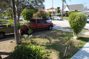 Enlarge photo 17