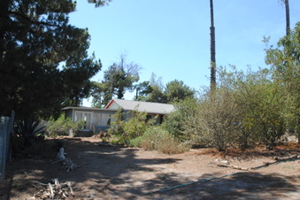 Enlarge photo 8