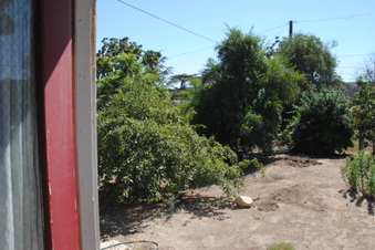 Enlarge photo 55