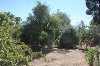Enlarge photo 58