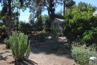 Enlarge photo 59