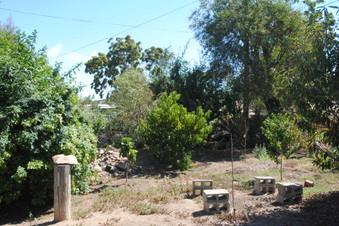 Enlarge photo 62