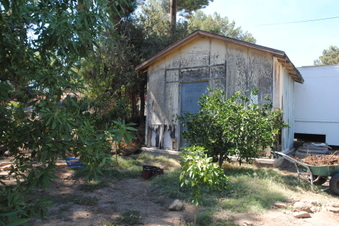 Enlarge photo 63