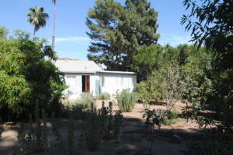 Enlarge photo 65